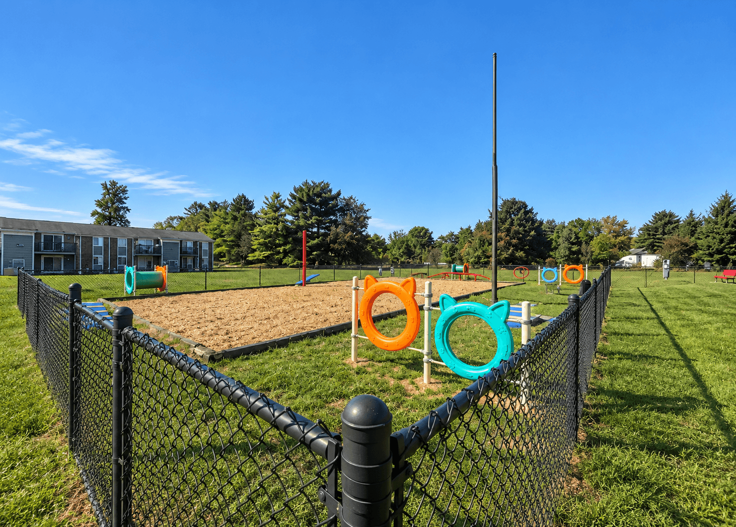 Dog Park